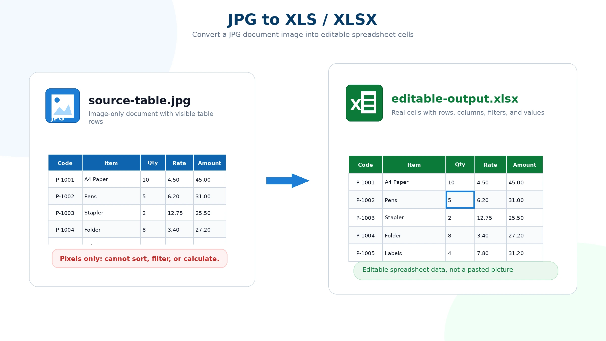 JPG file converted into an editable XLSX spreadsheet with cells, rows, and columns.
